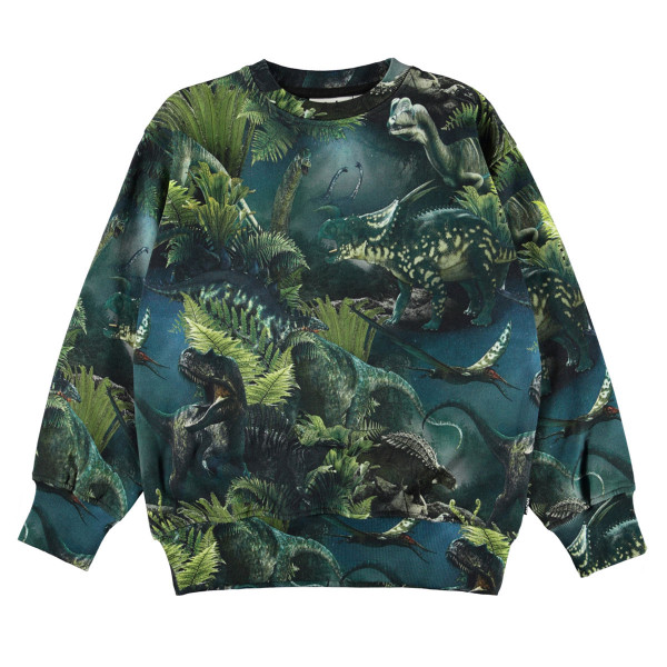 Sweatshirt Mattis Dino Night